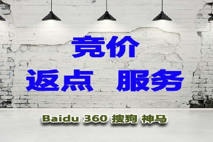 百度广告投放策略优化的经典案例